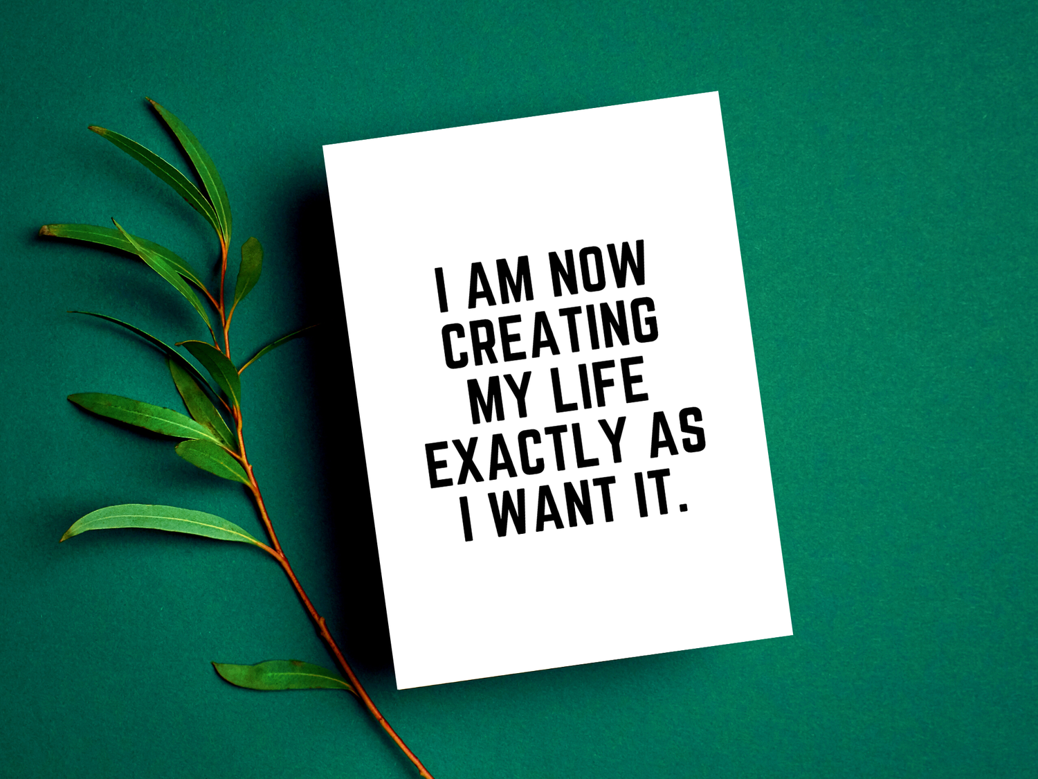 I AM NOW CREATING MY LIFE EXACTLY AS I WANT IT — Peace to the